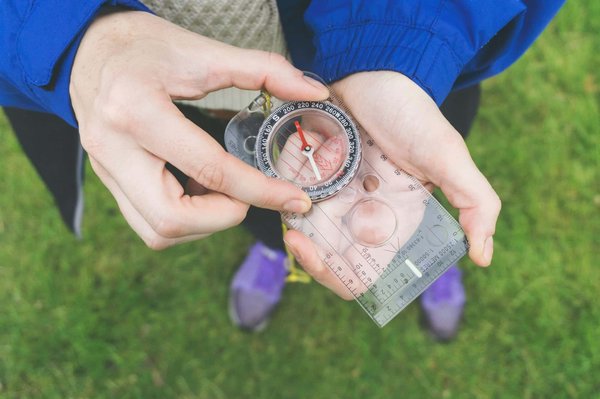 Comment explorer les jardins botaniques de Singapour : itinéraires et conseils pratiques ?
